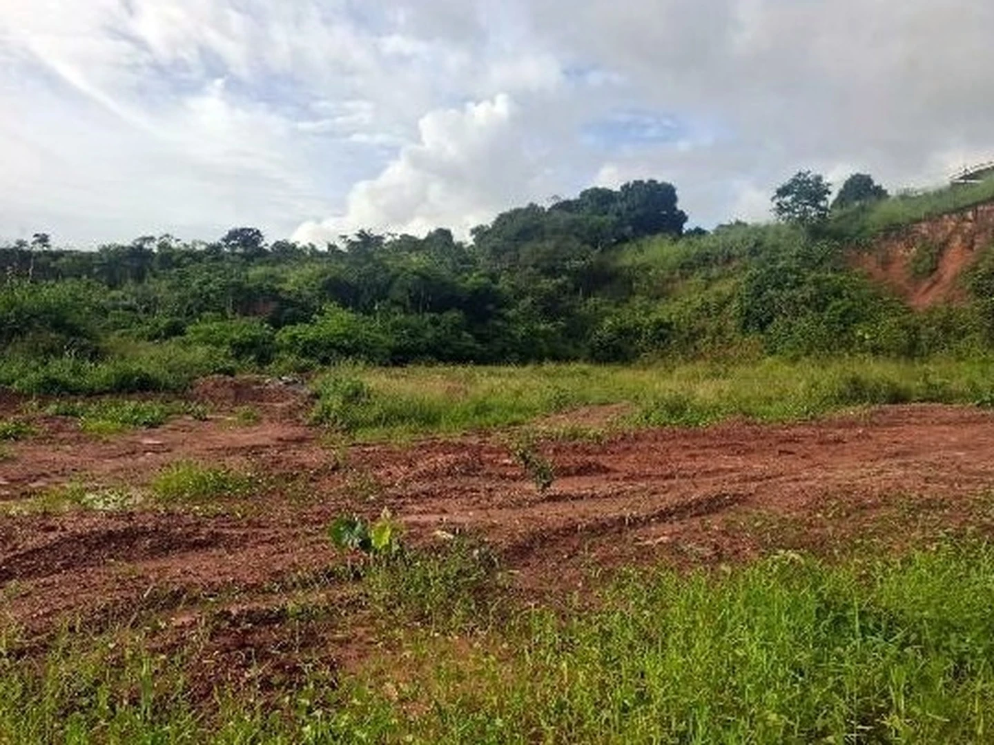Terreno - Paudalho, PE - foto 1