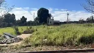 Terreno - Floresta, PR