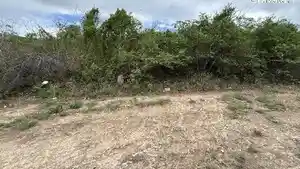 Terreno - Gravata, PE