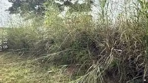Terreno - Brasília, DF