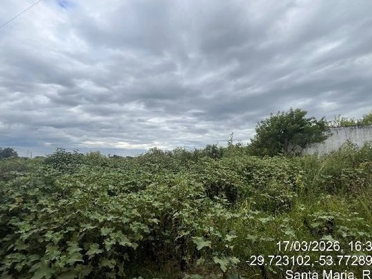 Terreno - Santa Maria, RS - foto 1