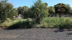 Terreno - Itumbiara, GO