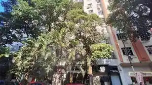Apartamento - Rio De Janeiro, RJ
