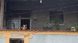 Casa - Rio De Janeiro, RJ