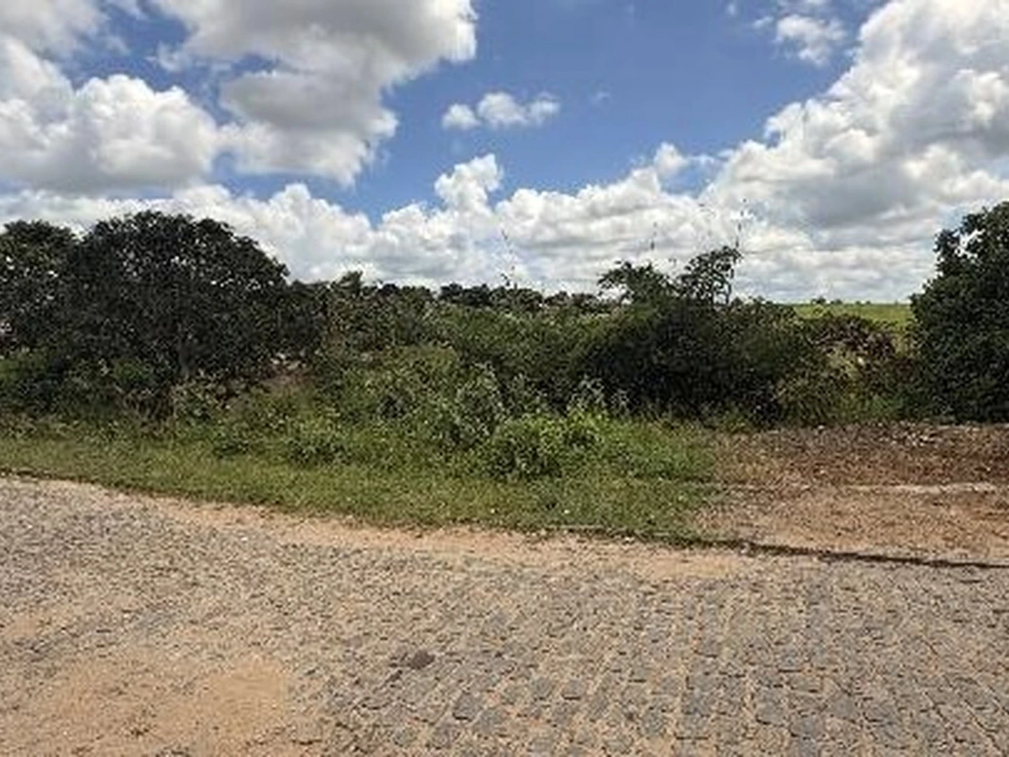 Terreno - Alianca, PE - foto 1