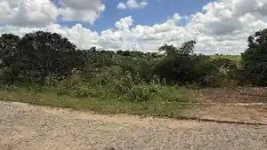 Terreno - Alianca, PE