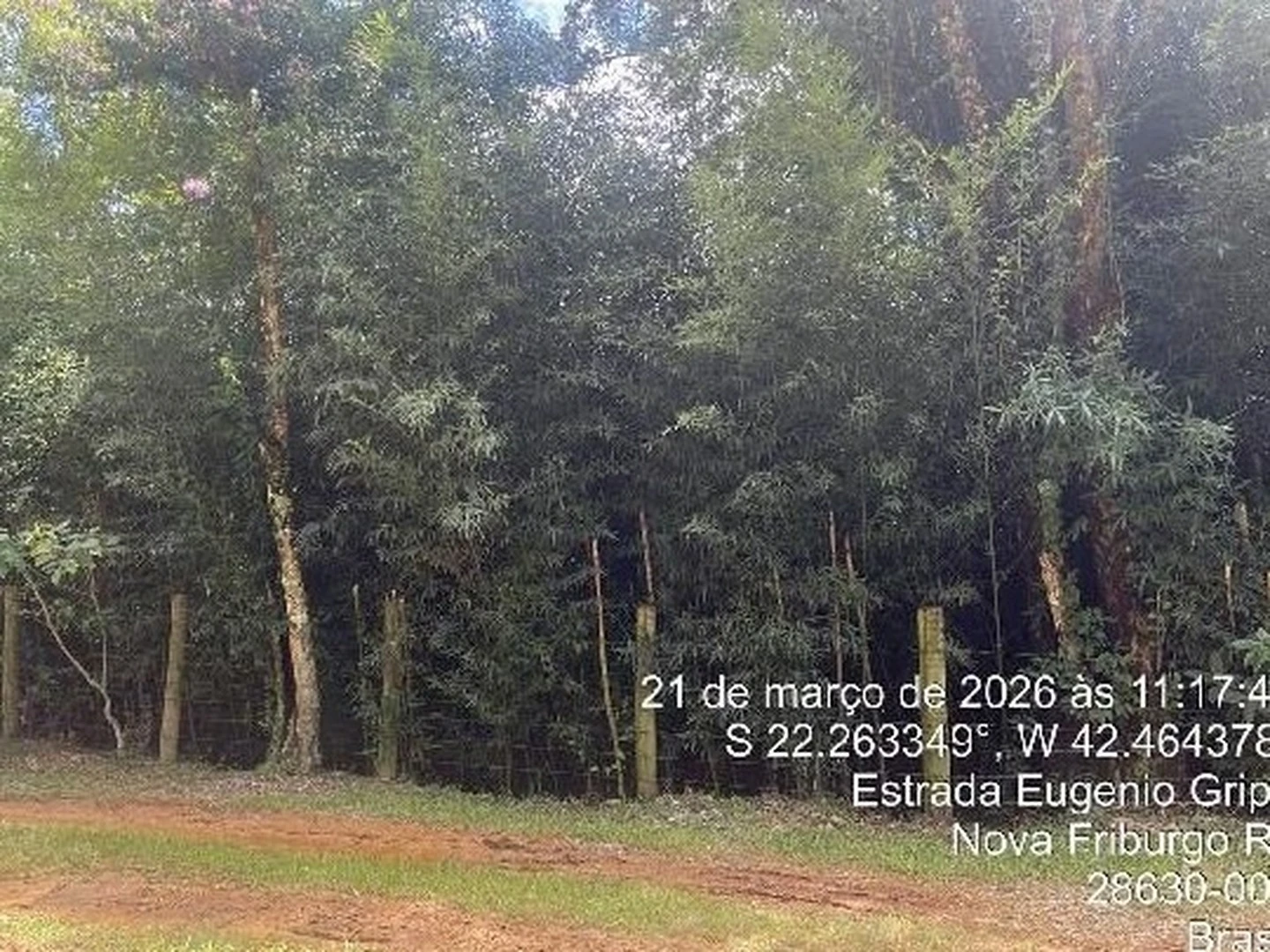 Terreno - Nova Friburgo, RJ - foto 1