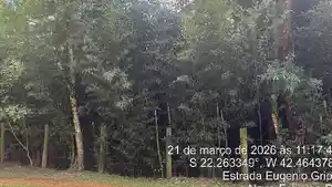 Terreno - Nova Friburgo, RJ