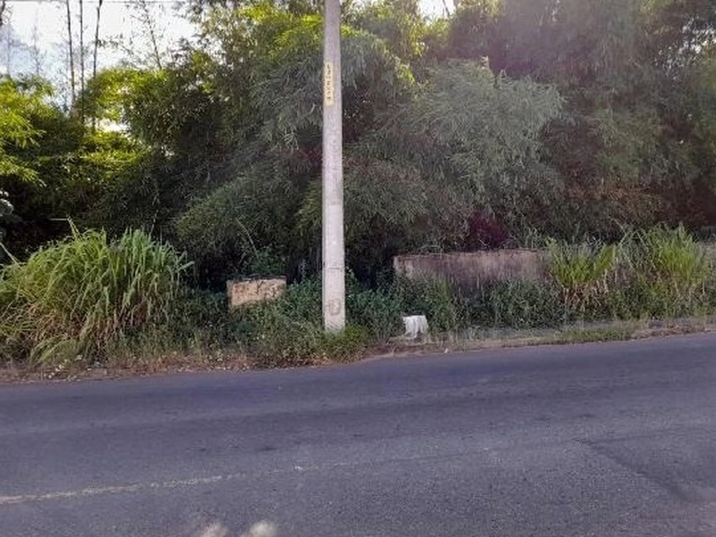 Terreno - Salvador, BA - foto 1