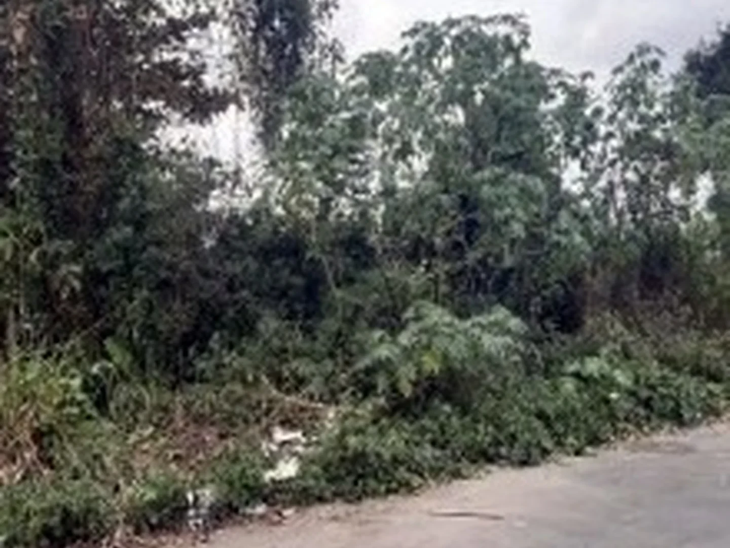 Terreno - Rio De Janeiro, RJ - foto 1