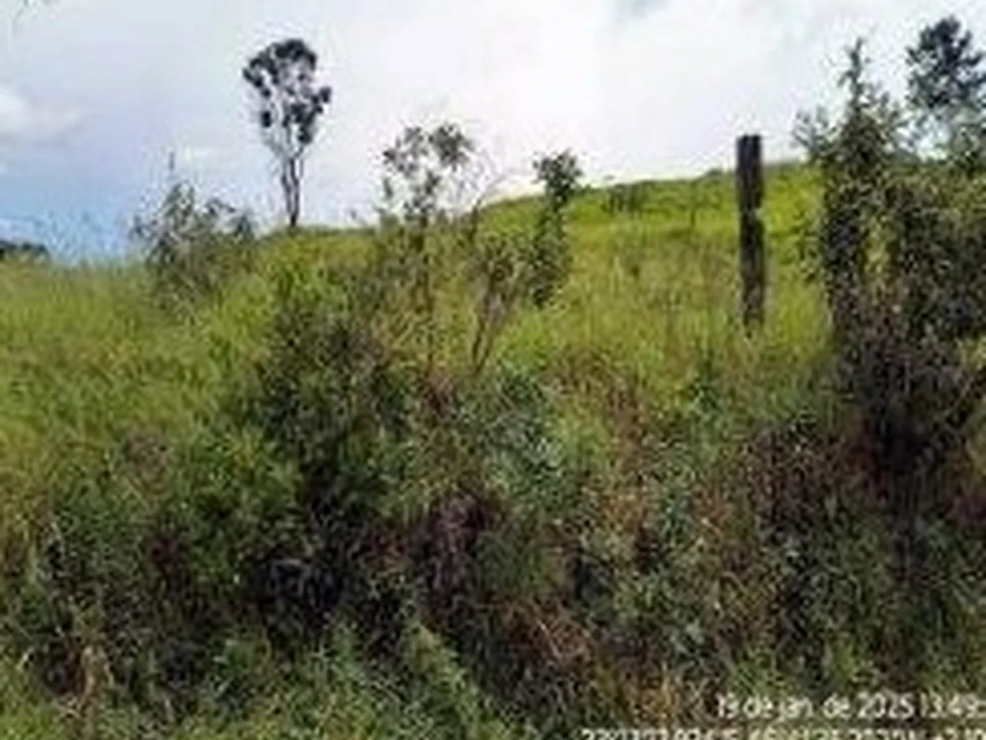 Imóvel Rural - Atibaia, SP - foto 1