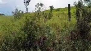 Imóvel Rural - Atibaia, SP