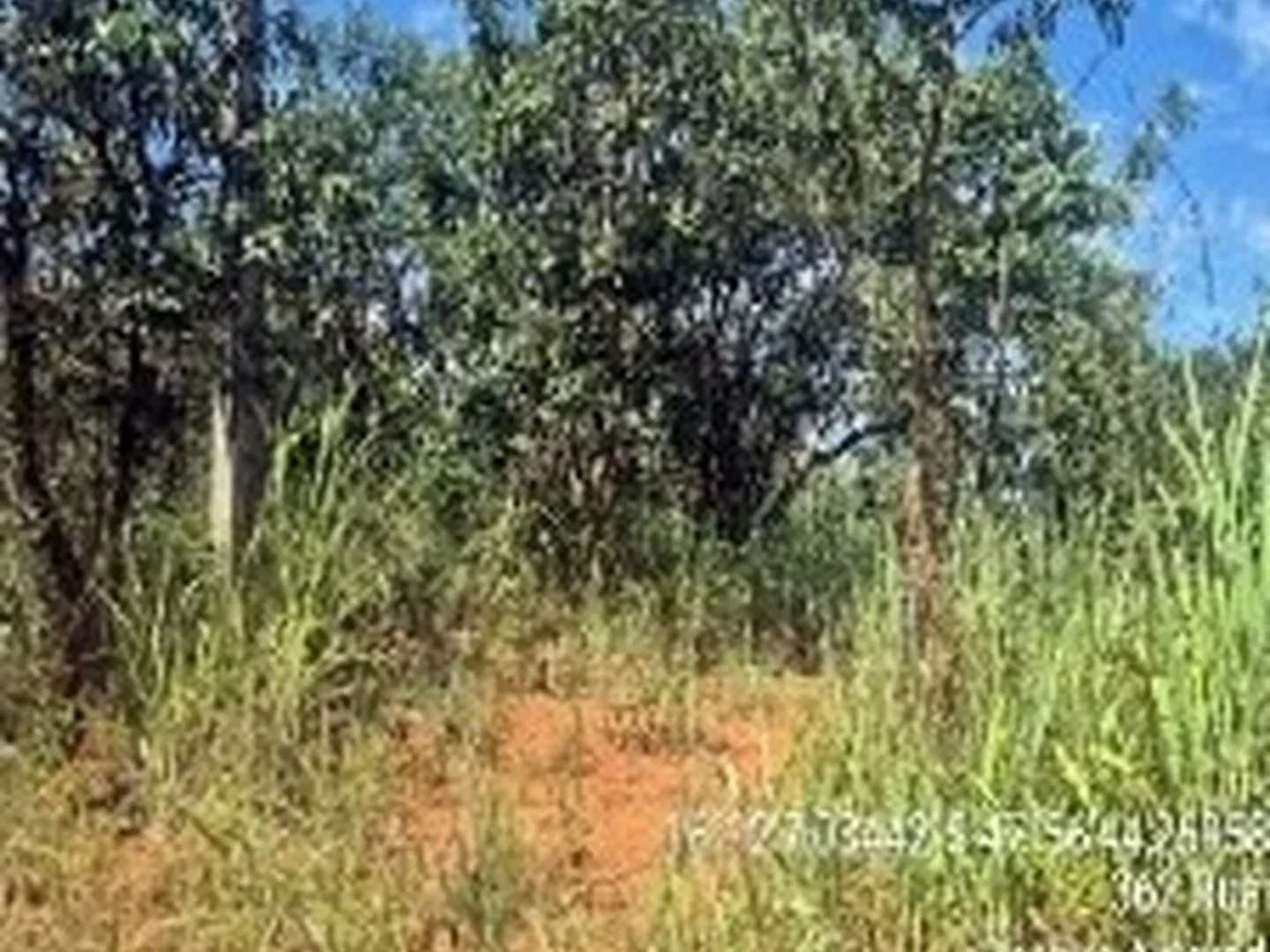 Terreno - Luziania, GO - foto 1