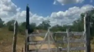 Terreno - Serrinha, BA
