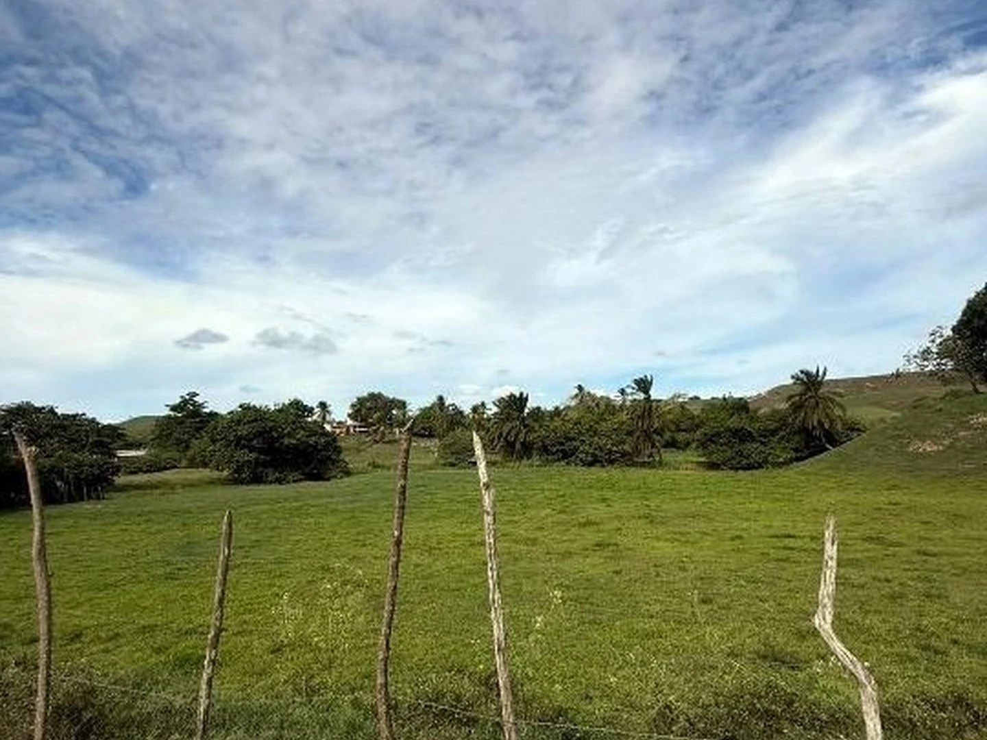 Terreno - Porto Calvo, AL - foto 1
