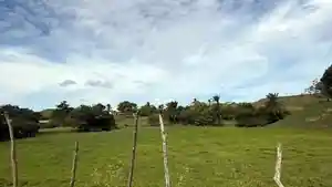 Terreno - Porto Calvo, AL
