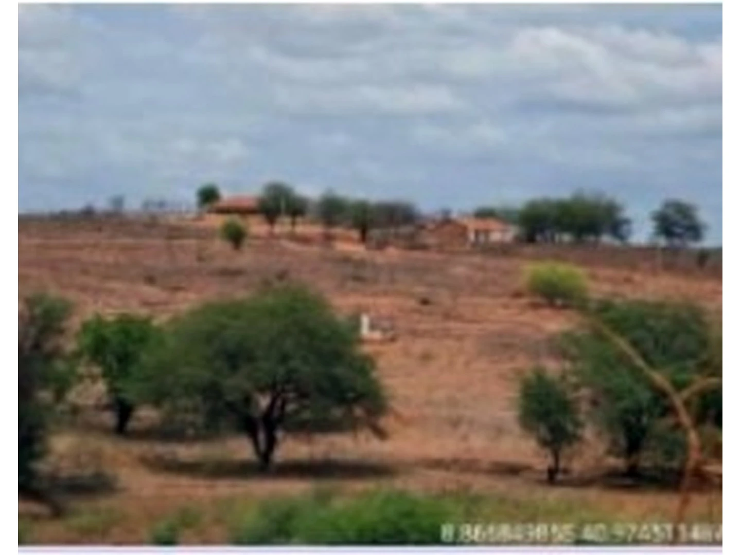 Terreno - Casa Nova, BA - foto 1