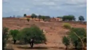 Terreno - Casa Nova, BA