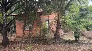 Casa - Curuca, PA
