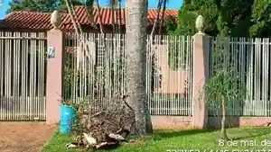 Casa - Rolandia, PR