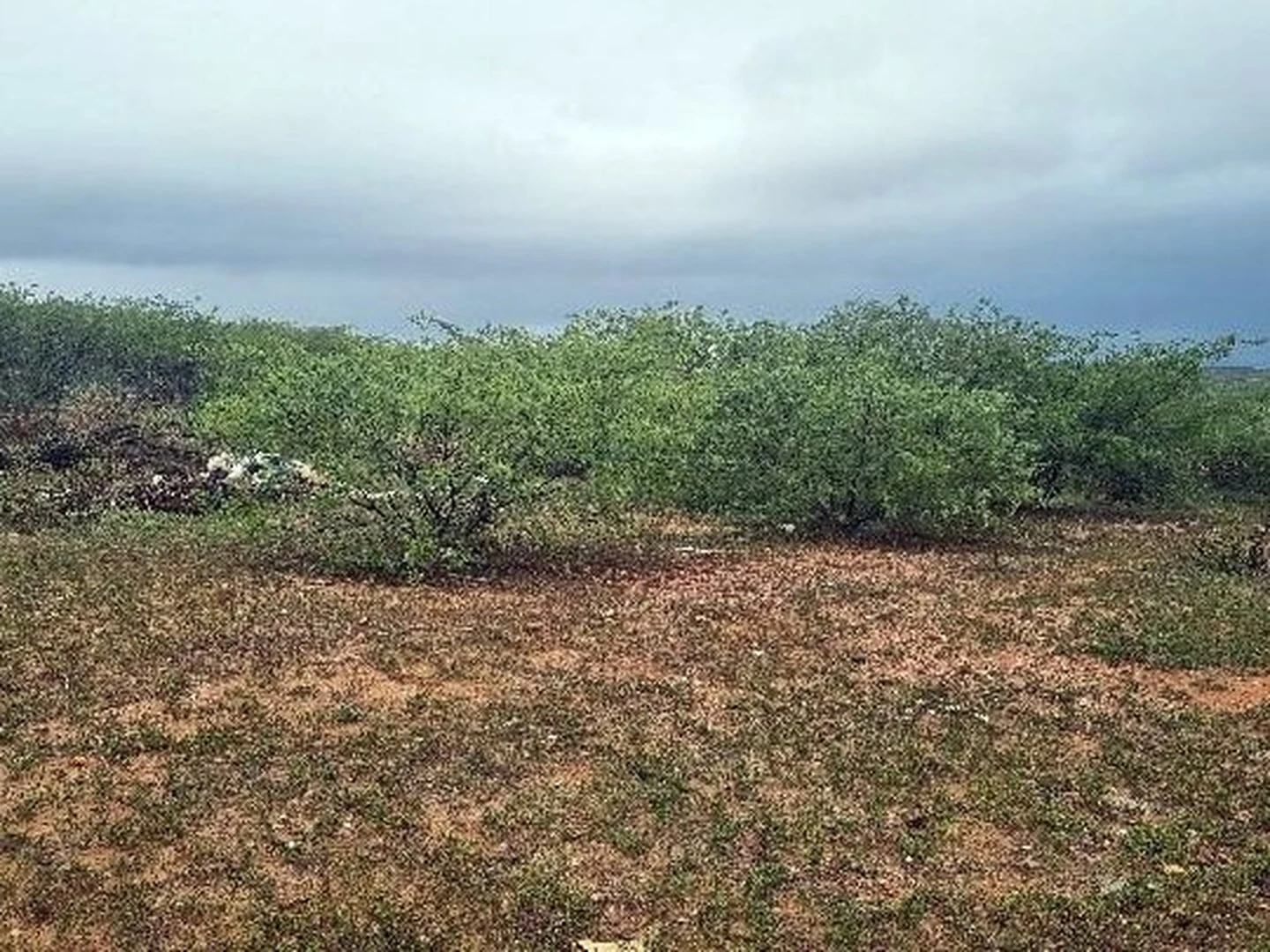 Terreno - Sao Vicente, RN - foto 1