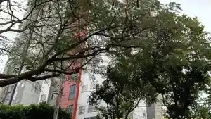 Apartamento - Cianorte, PR