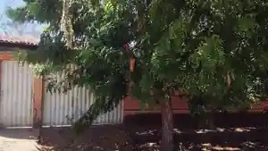 Casa - Agua Branca, PI