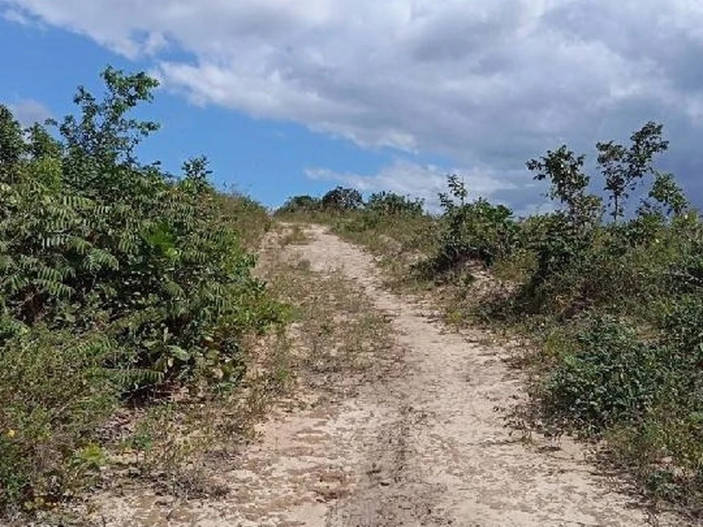 Terreno - Alagoinhas, BA - foto 1