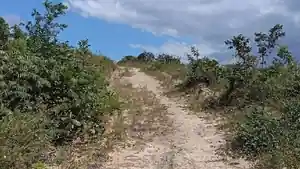 Terreno - Alagoinhas, BA