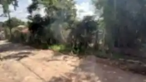 Terreno - Capim Branco, MG