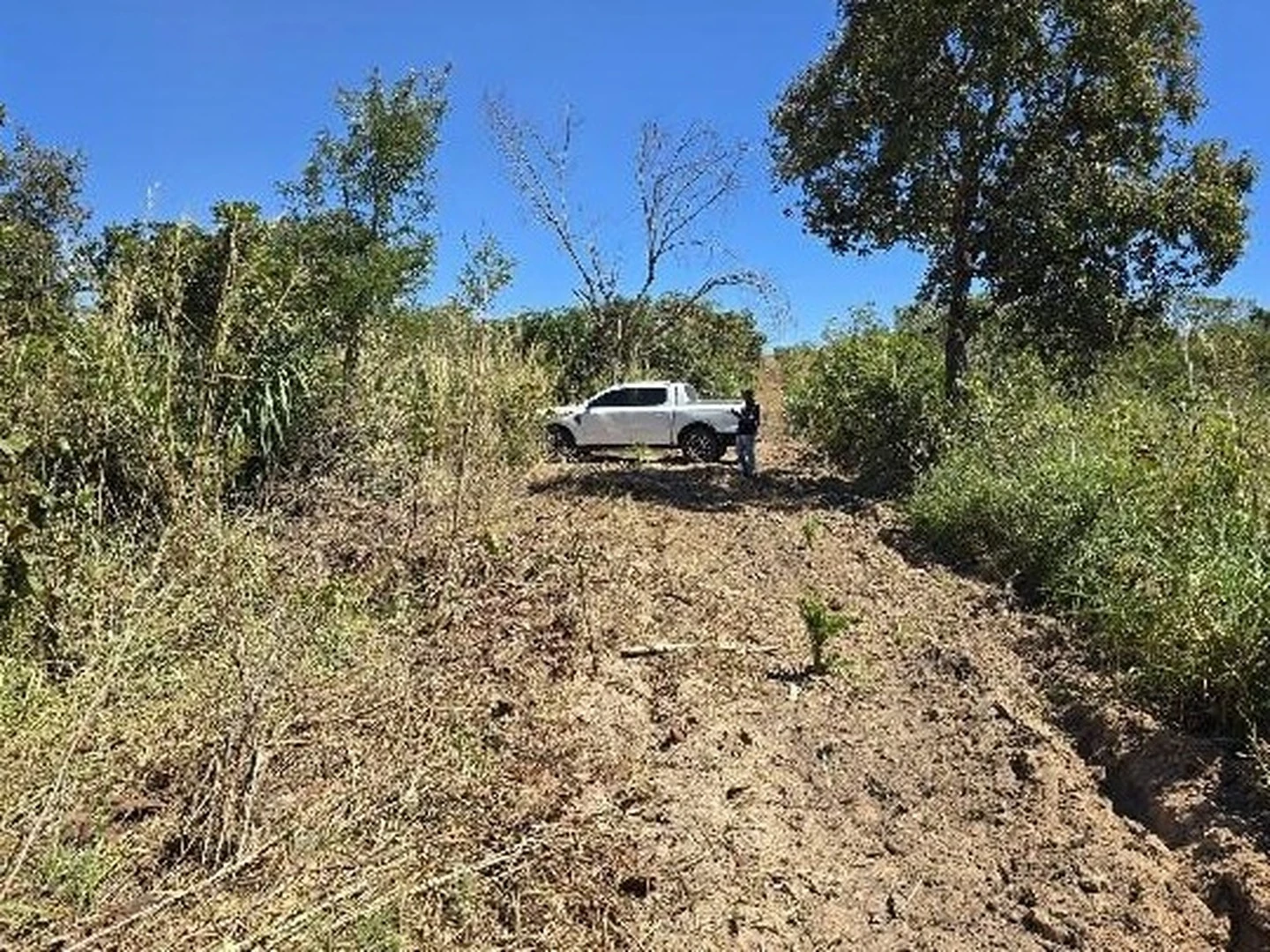 Terreno - Balsas, MA - foto 1