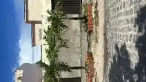 Casa - Olinda, PE