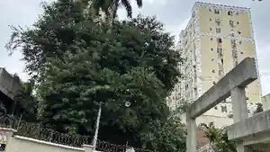Apartamento - Rio De Janeiro, RJ