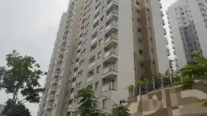 Apartamento - Rio De Janeiro, RJ