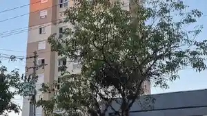 Apartamento - Novo Hamburgo, RS