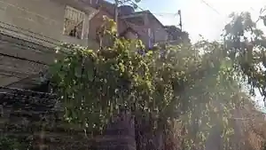 Casa - Tres Rios, RJ