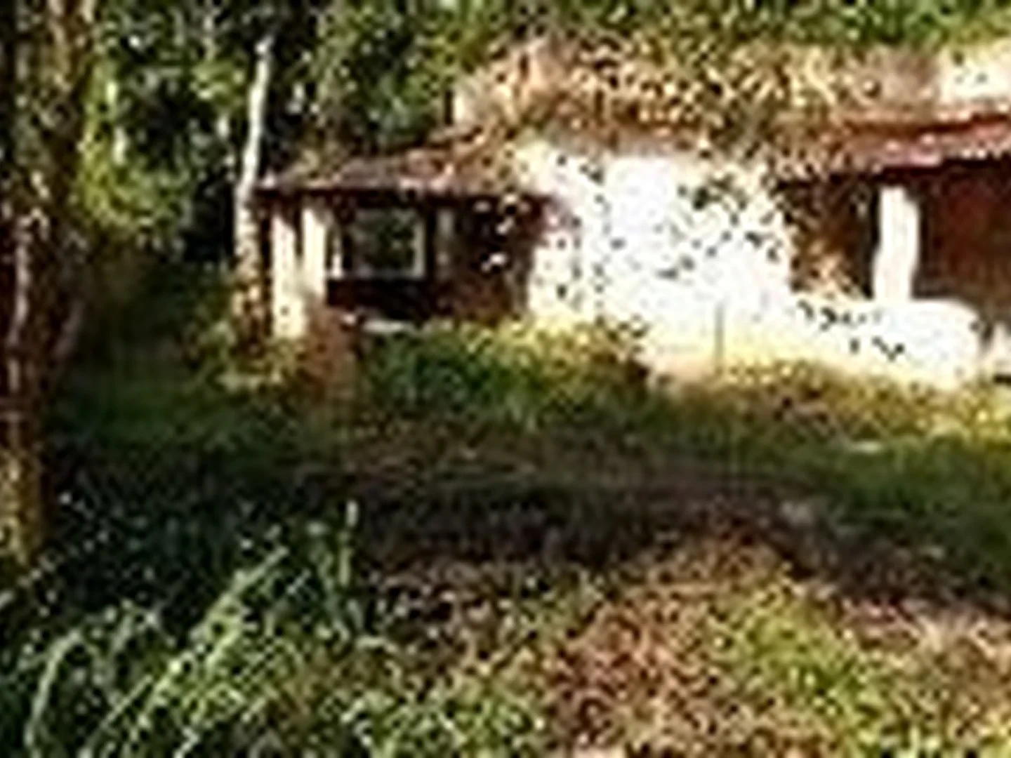 Casa - Tangua, RJ - foto 1