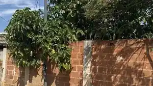 Terreno - Itaguai, RJ