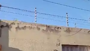 Casa - Russas, CE