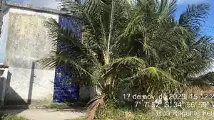 Apartamento - Santa Rita, PB