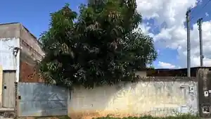 Casa - Luziania, GO
