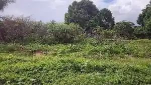 Casa - Extremoz, RN