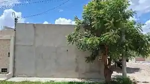 Casa - Tangara, RN