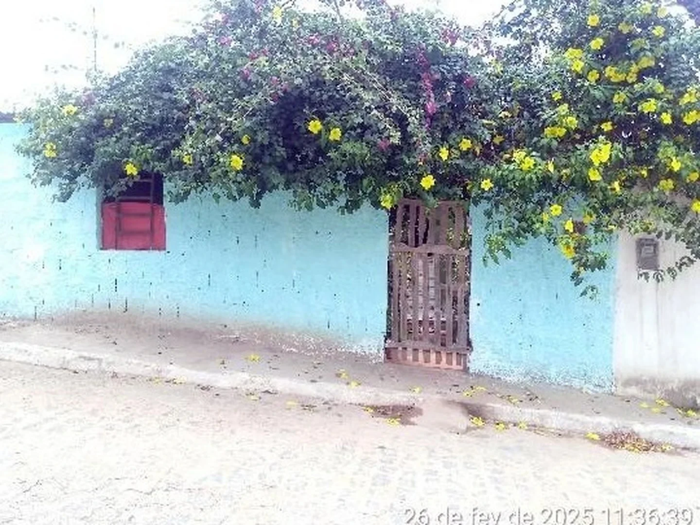 Casa - Cha De Alegria, PE - foto 1