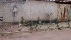 Casa - Cocalzinho De Goias, GO