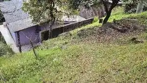 Casa - Roca Sales, RS