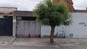 Casa - Horizonte, CE