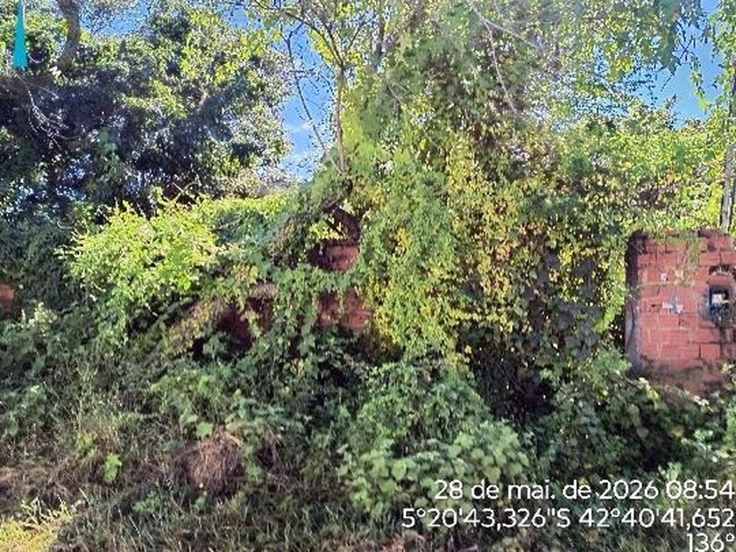 Casa - Demerval Lobao, PI - foto 1