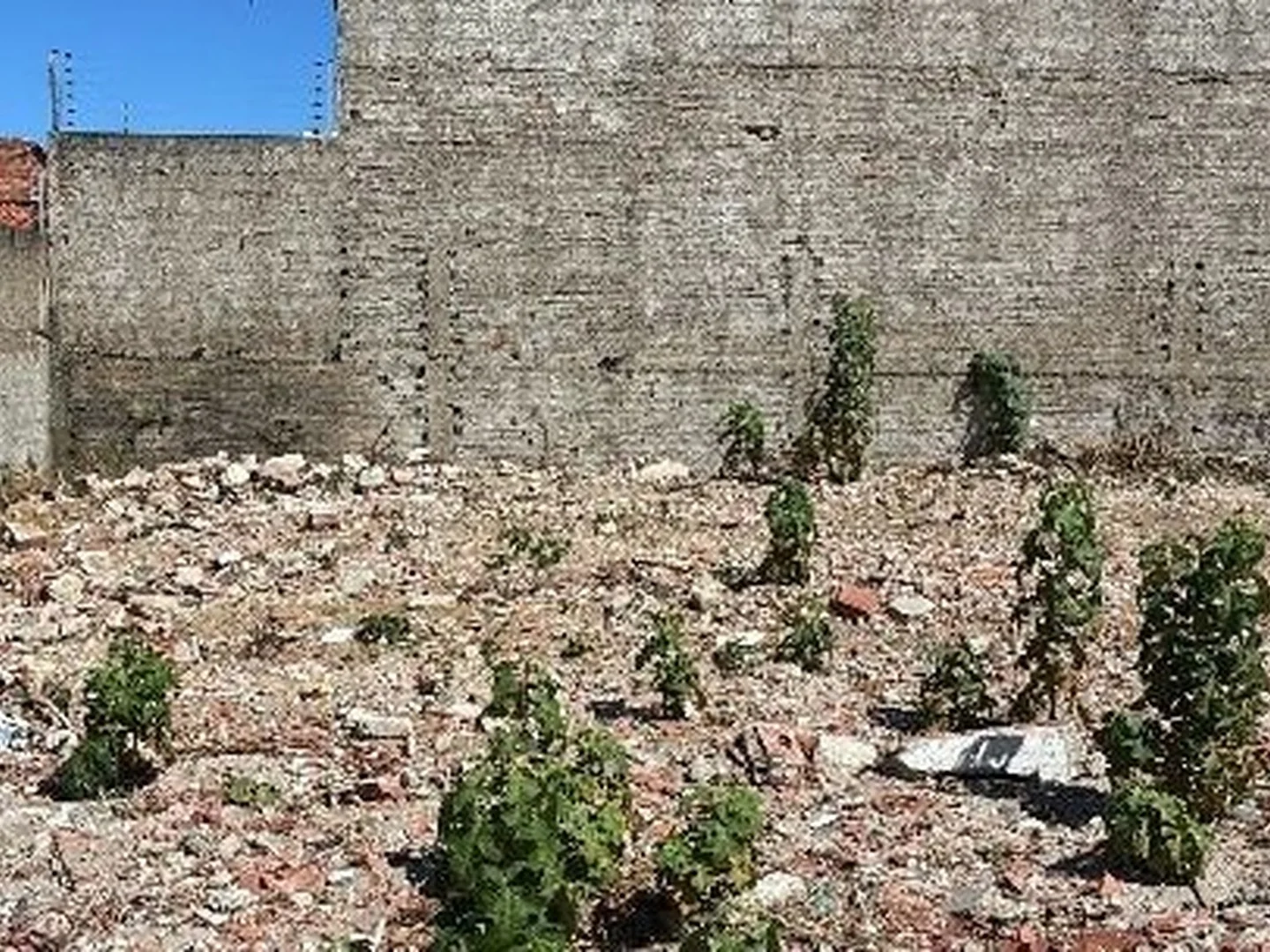 Terreno - Paracuru, CE - foto 1