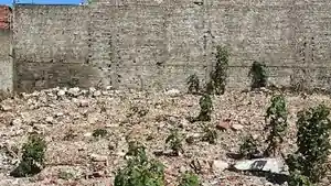 Terreno - Paracuru, CE